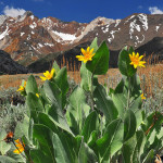 sierra2009